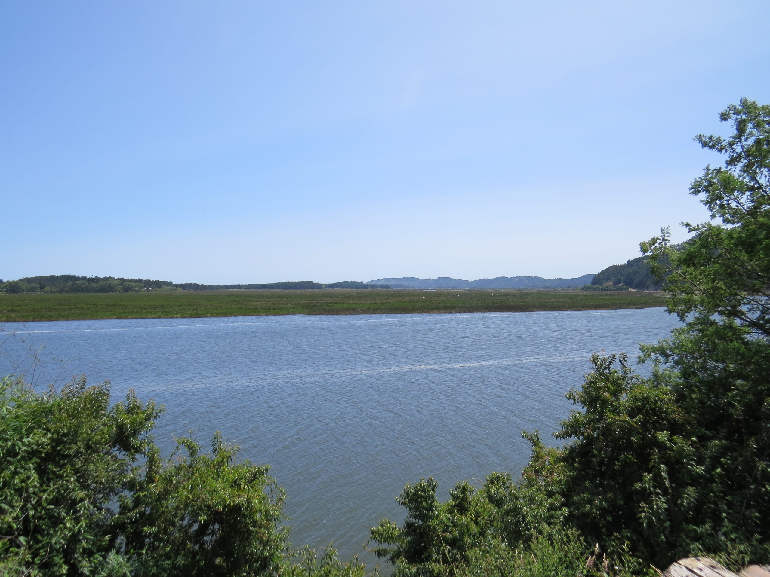 Humedal Queule (Pantanal de Queule)