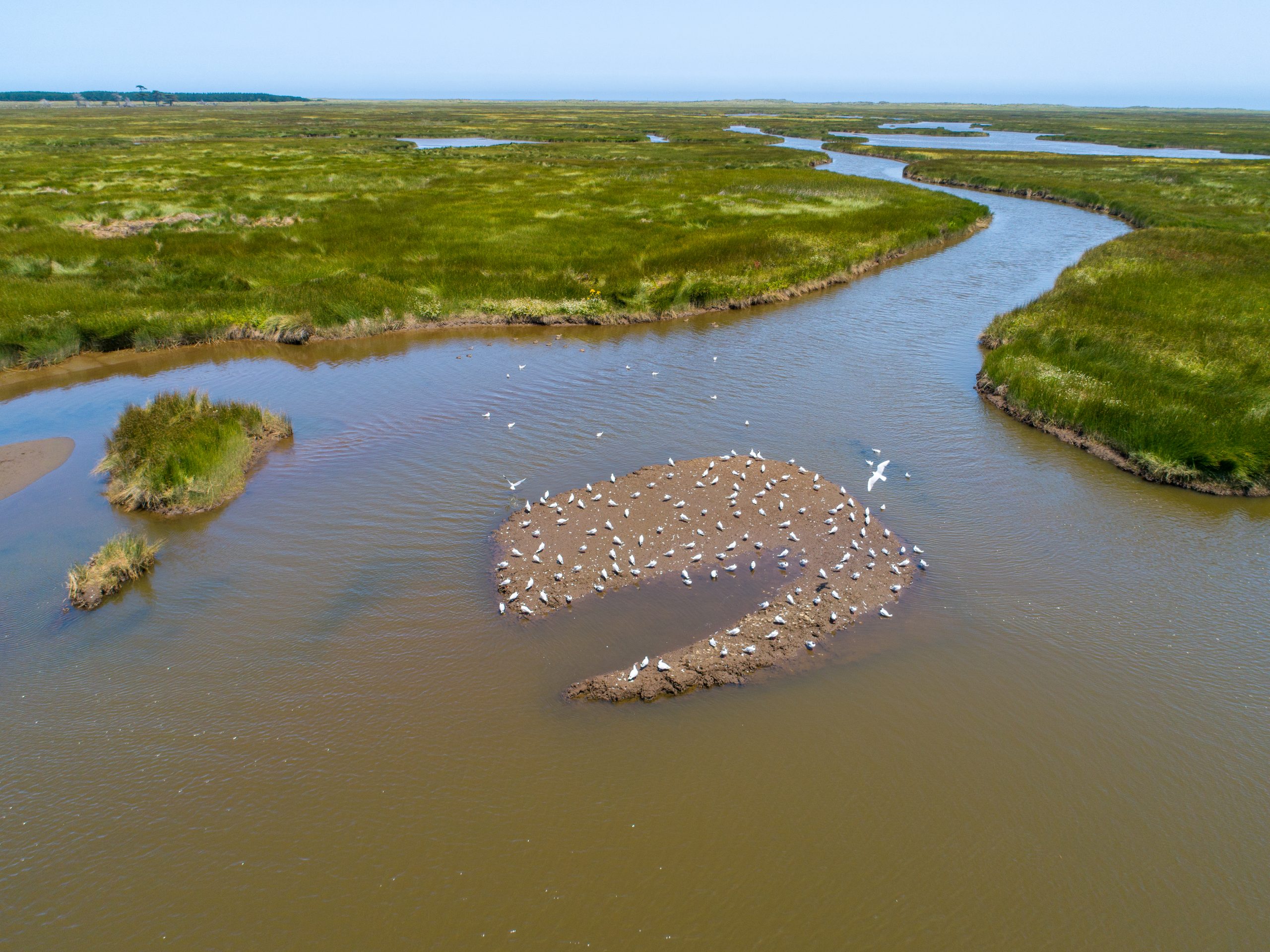 Comunidad Mateo Nahuelpán Humedal Monkul (Comunidade Mateo Nahuelpán – Pantanal de Monkul)