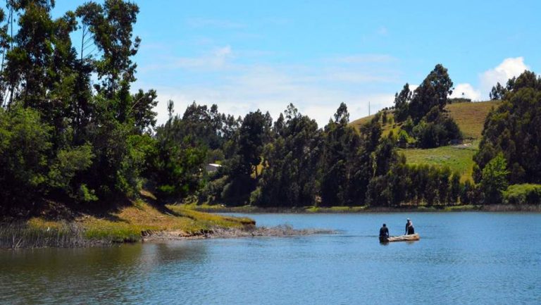 Huapi Island