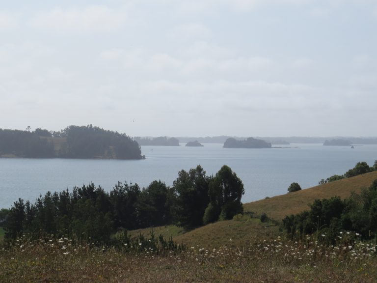 Lake Budi