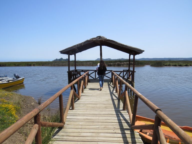 Humedal Monkul